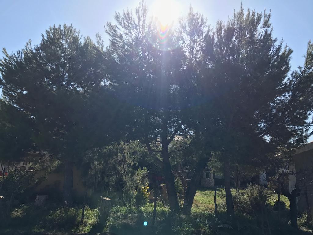 Casa Rural La Granja เลอตูร์ ภายนอก รูปภาพ